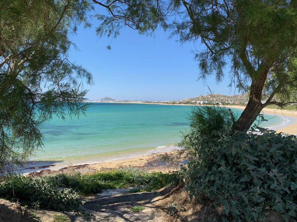 Villa Paradise In Naxos Plaka  Luaran gambar
