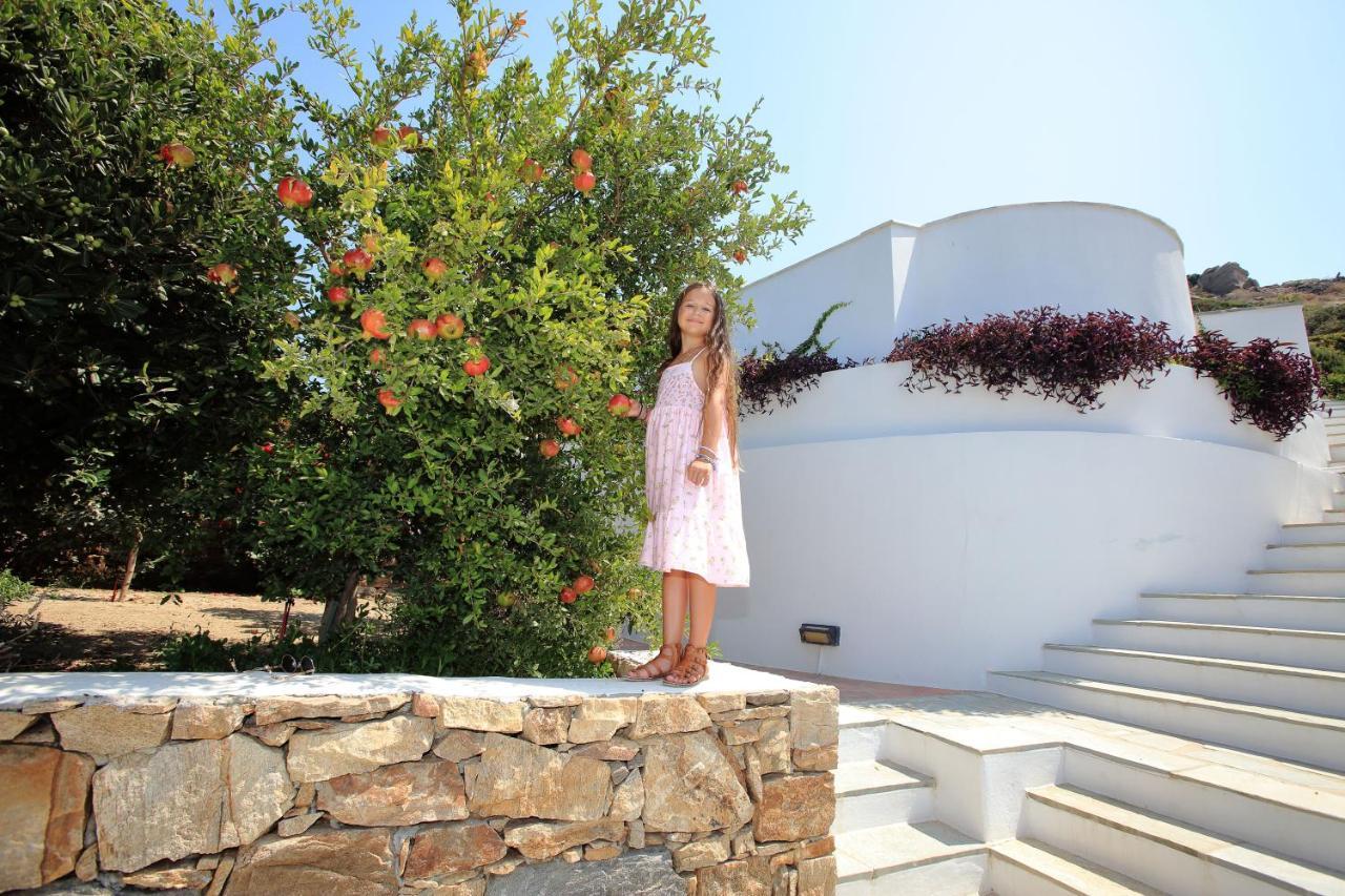 Villa Paradise In Naxos Plaka  Luaran gambar